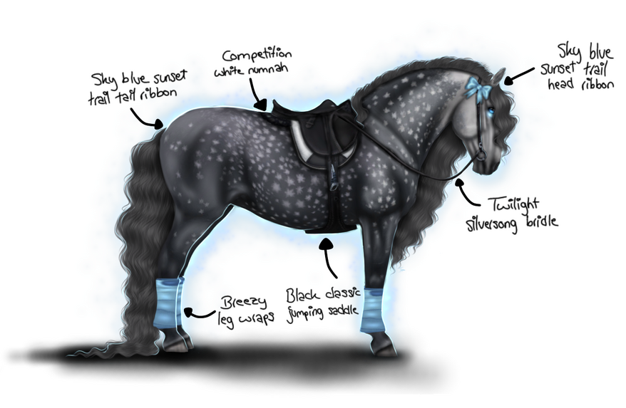 Horse, Dark Grey Lipizzaner